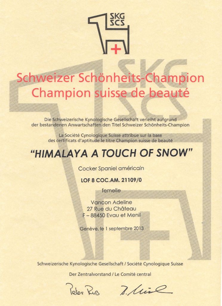 CH. Himalaya A touch of snow