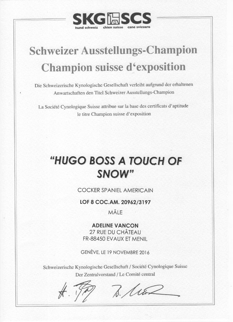 CH. A touch of snow Hugo boss