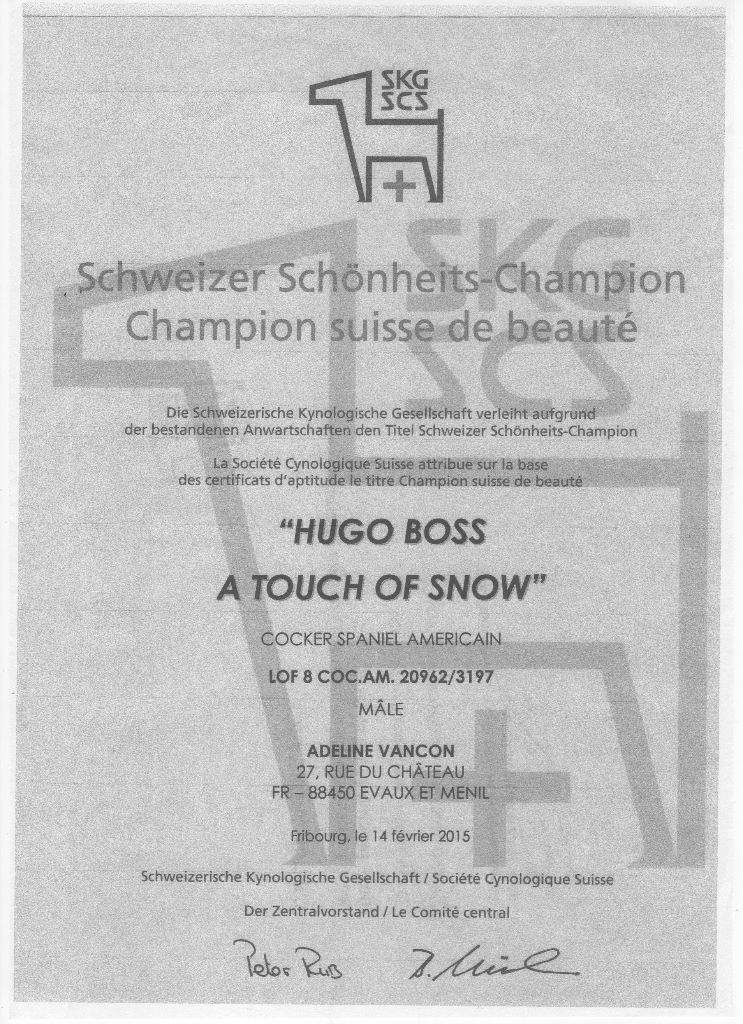 CH. A touch of snow Hugo boss