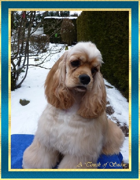 A touch of snow Haiti