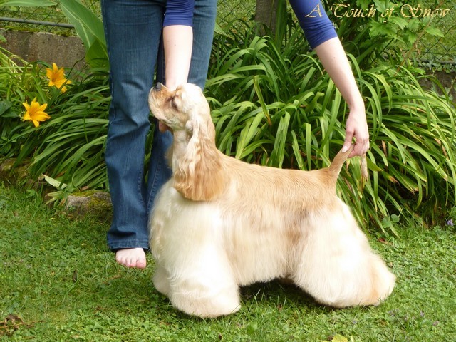 Hawai A touch of snow